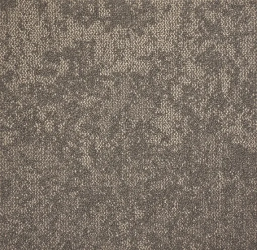 Broadway_Taupe by Stanton Carpet