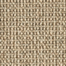 Dakota Tan by Stanton Carpet