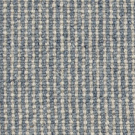 Denim by Stanton Carpet