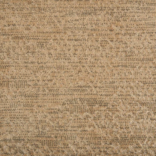 Desert by Stanton Carpet