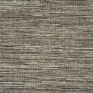 Fossil by Stanton Carpet