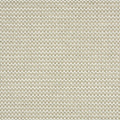 Frost by Stanton Carpet