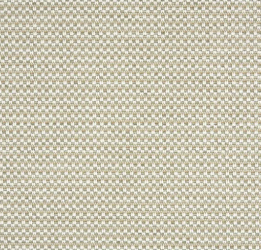 Frost by Stanton Carpet