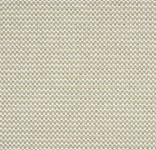 Frost by Stanton Carpet