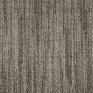 Grey by Stanton Carpet