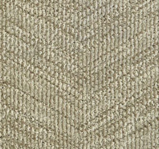 Khaki by Stanton Carpet