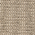 Khaki by Stanton Carpet