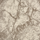 Limestone by Stanton Carpet