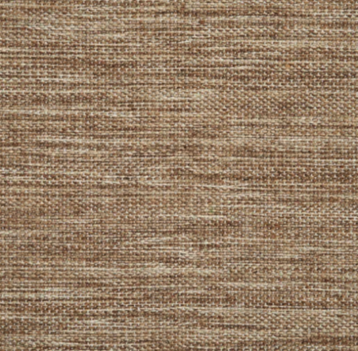 Maple by Stanton Carpet