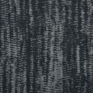 Midnight by Stanton Carpet