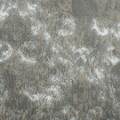 Moonshine by Stanton Carpet