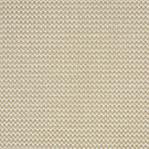 Oyster by Stanton Carpet