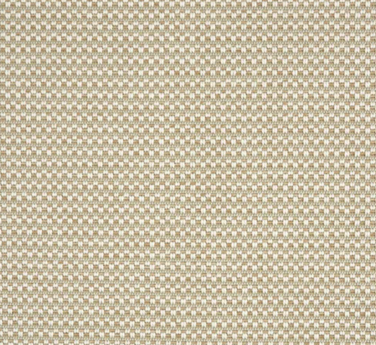 Oyster by Stanton Carpet