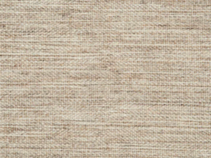 Parchment by Stanton Carpet