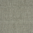 Raven by Stanton Carpet