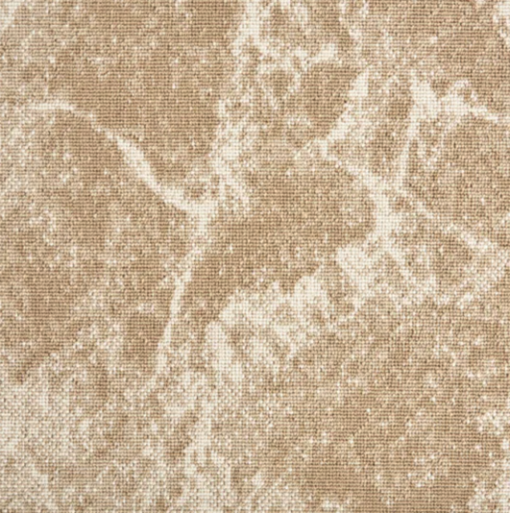 Sandstone by Stanton Carpet
