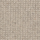 Shadow by Stanton Carpet