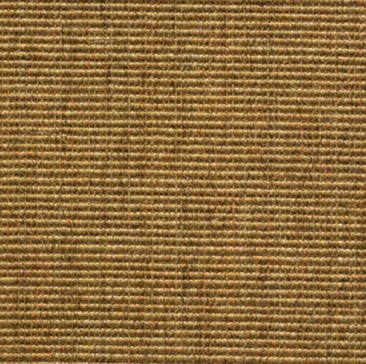 Thatch by Stanton Carpet
