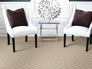 room-platinum-degraw-stanton-carpet-rug-jpg