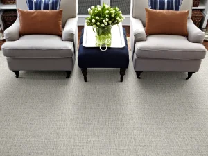 room-shadow-carlotta-stanton-carpet-rug
