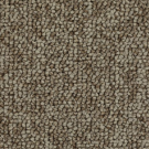 Ancient-Treasure  - Chic Comfort - Mohawk Carpet
