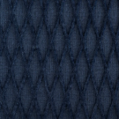 Blue Macaw by rosecore
