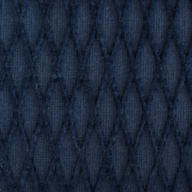 Blue Macaw