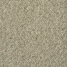 Flint by Stanton Carpet