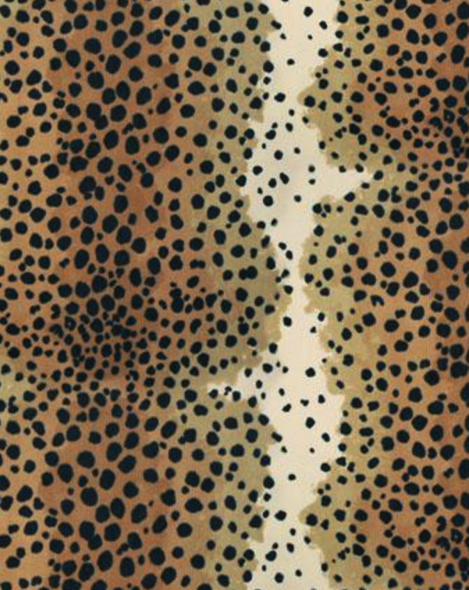 Cheetah