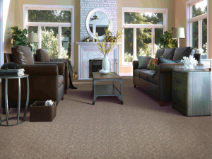 Impressive Edge by Mohawk Carpet