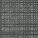 Steel by Stanton Carpet