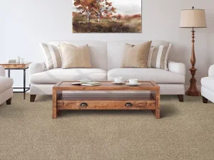 medalist-mohawk-carpet