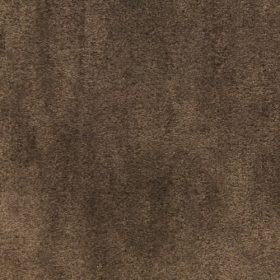 Grizzly