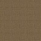 Buckskin