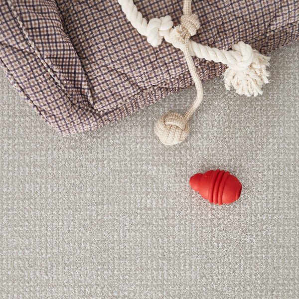 Pedigree by Masland Carpet
