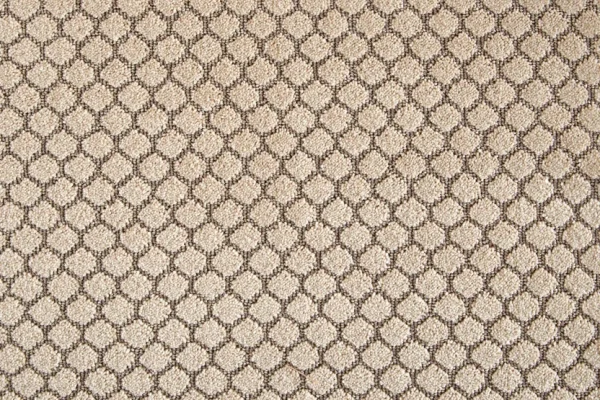 Merge - Sandstone by Stanton Carpet
