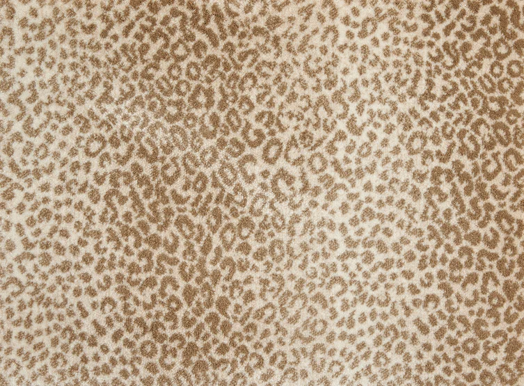Rug Product Image