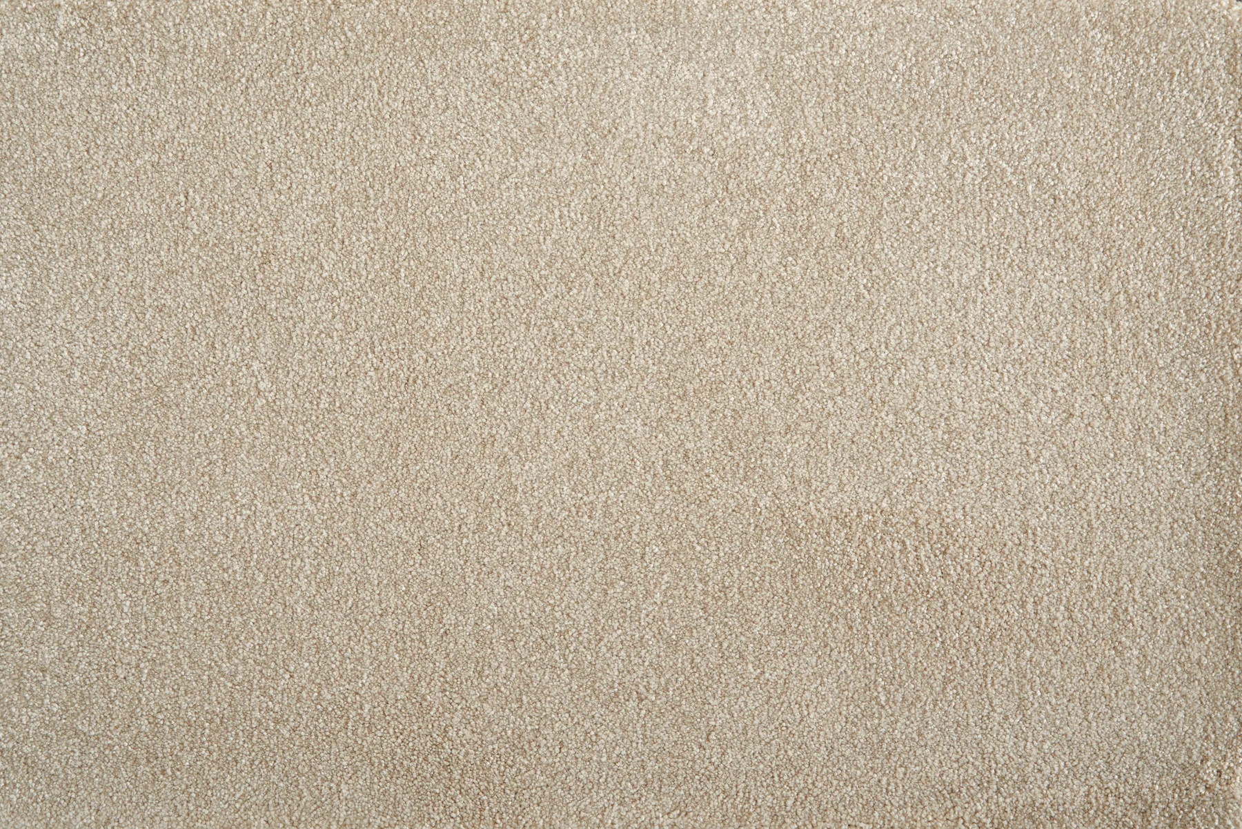 Muse_Cameo  Stanton Carpet