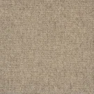 Parker_Ridge-Dakota_Tan Stanton Carpet