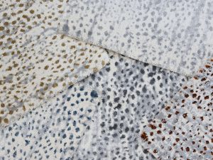 Pop_Rock_Group Stanton Carpet