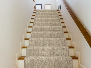 SIlhouette_STAIRS_Clay Stanton Carpet