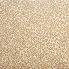 Serengeti_Desert Stanton Carpet