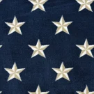 Starstruck_Navy Stanton Carpet