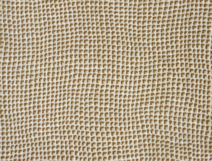 Waltz_Carmel Stanton Carpet