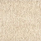 shaggy plush_prosecco Stanton Carpet