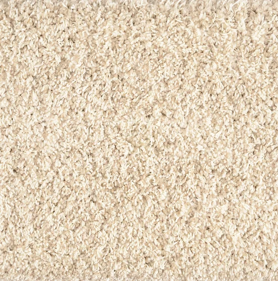 shaggy plush_prosecco Stanton Carpet