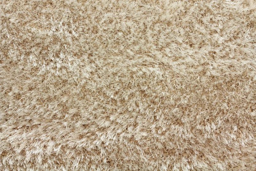 shaggy pop_charmois Stanton Carpet