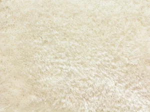 shaggy pop_dove Stanton Carpet