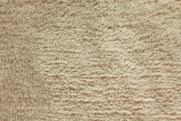 shaggy posh_beachwood Stanton Carpet