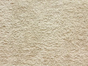 shaggy posh_ivory Stanton Carpet